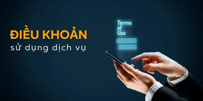 Cơ chế giải quyết sự cố tranh chấp tại Debet